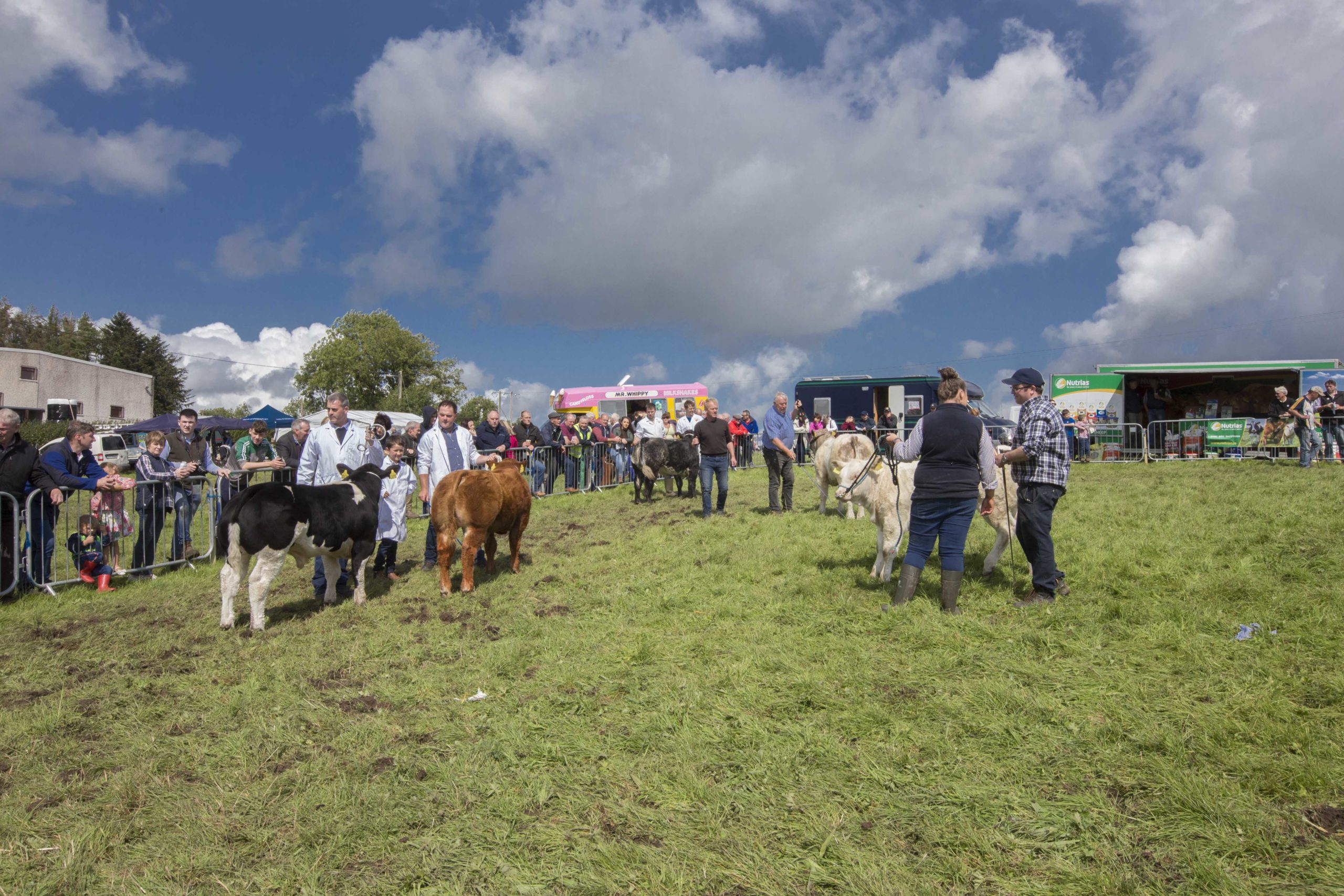 Mohill Agricultural Show43